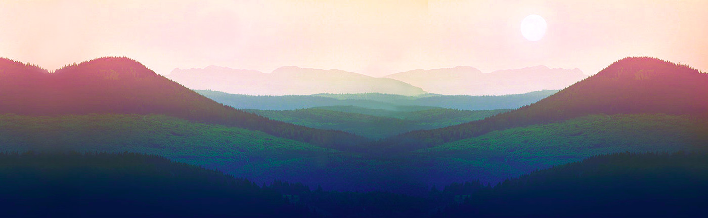 网页版短信攻击